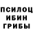 Псилоцибиновые грибы Psilocybine cubensis kicilian