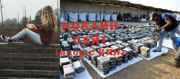 прущие крисы Ельня