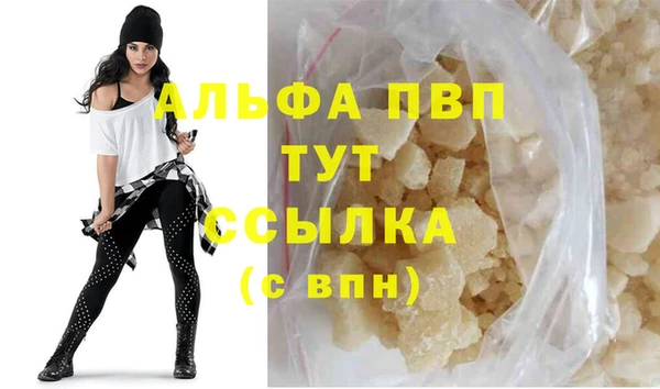 прущие крисы Ельня