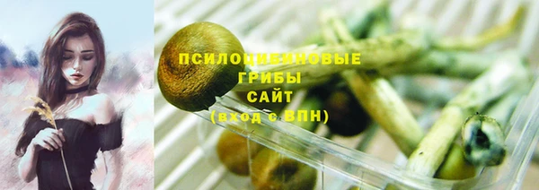 прущие крисы Елабуга