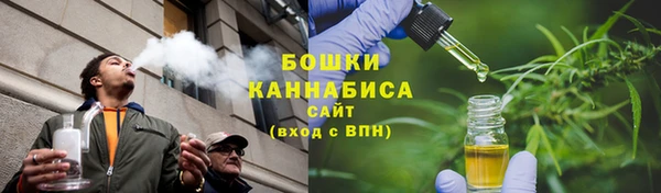 прущие крисы Ельня