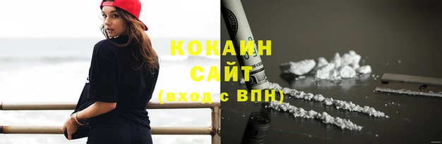 прущие крисы Ельня