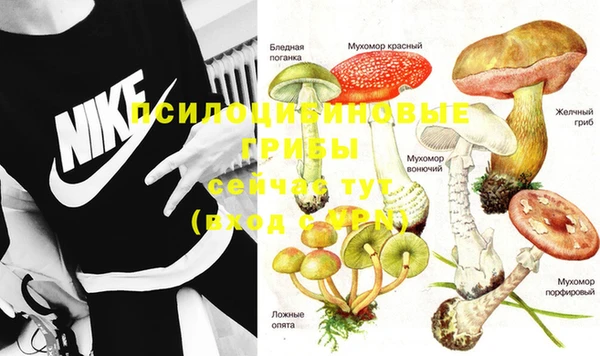 прущие крисы Елабуга