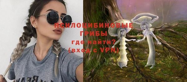 прущие крисы Ельня