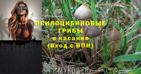 прущие крисы Елабуга
