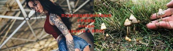 круглые Елизово
