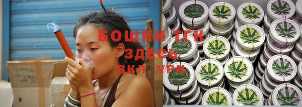 прущие крисы Ельня