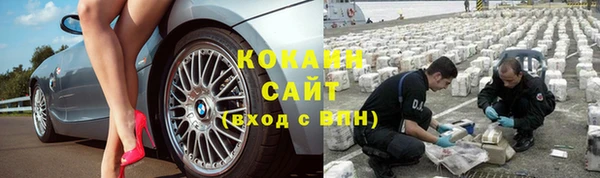 прущие крисы Ельня