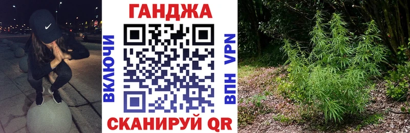 Конопля Bruce Banner Пестово